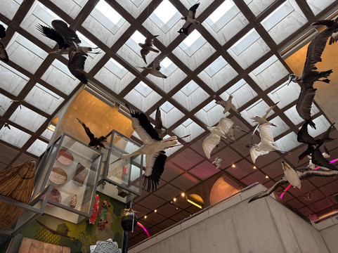 Museon-Omniversum-海牙必去景点