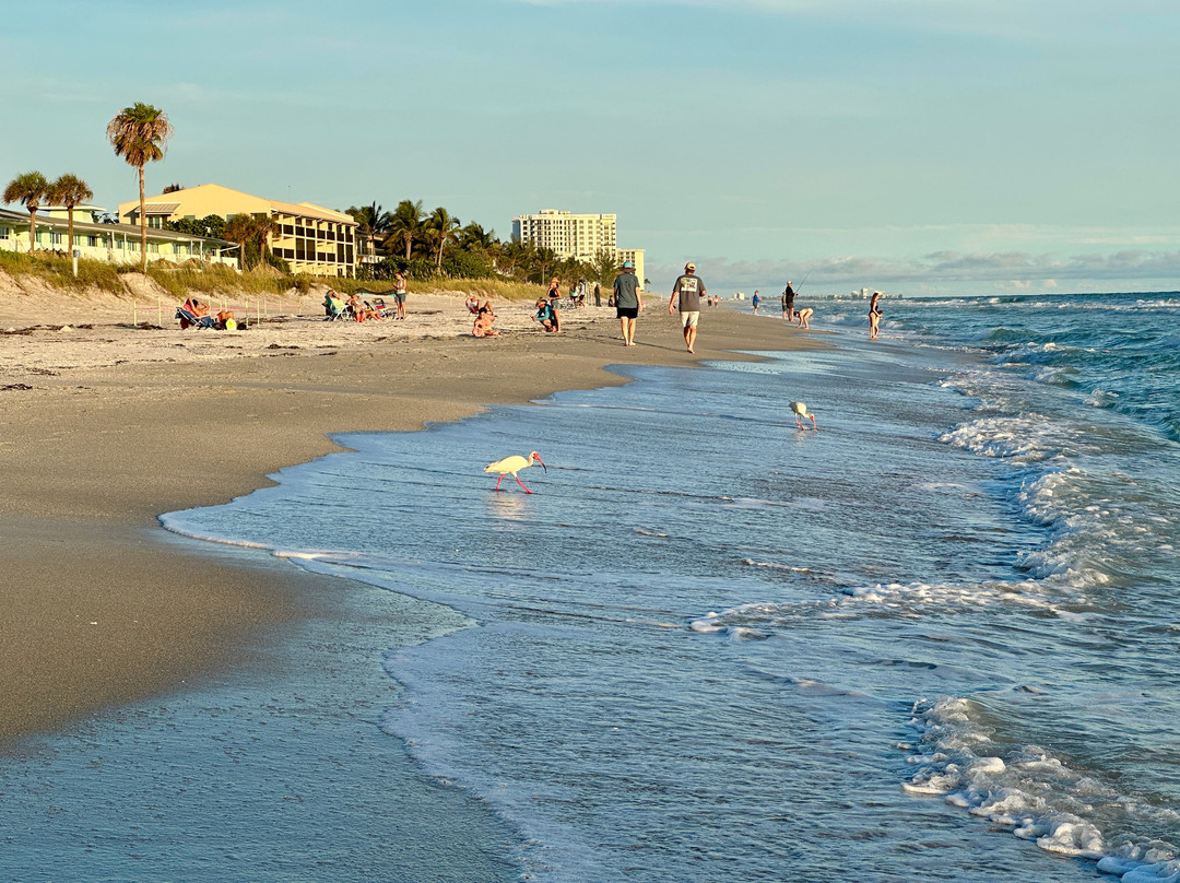 Longboat Key Beach-长船礁必去景点