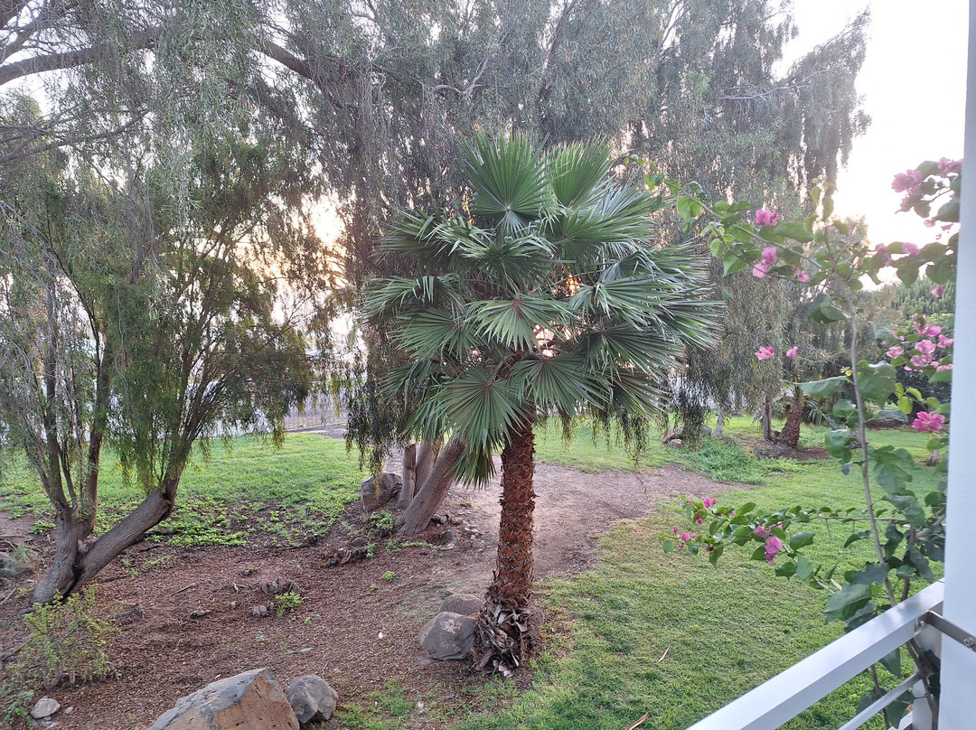 Allsun Hotel Esquinzo Beach主图
