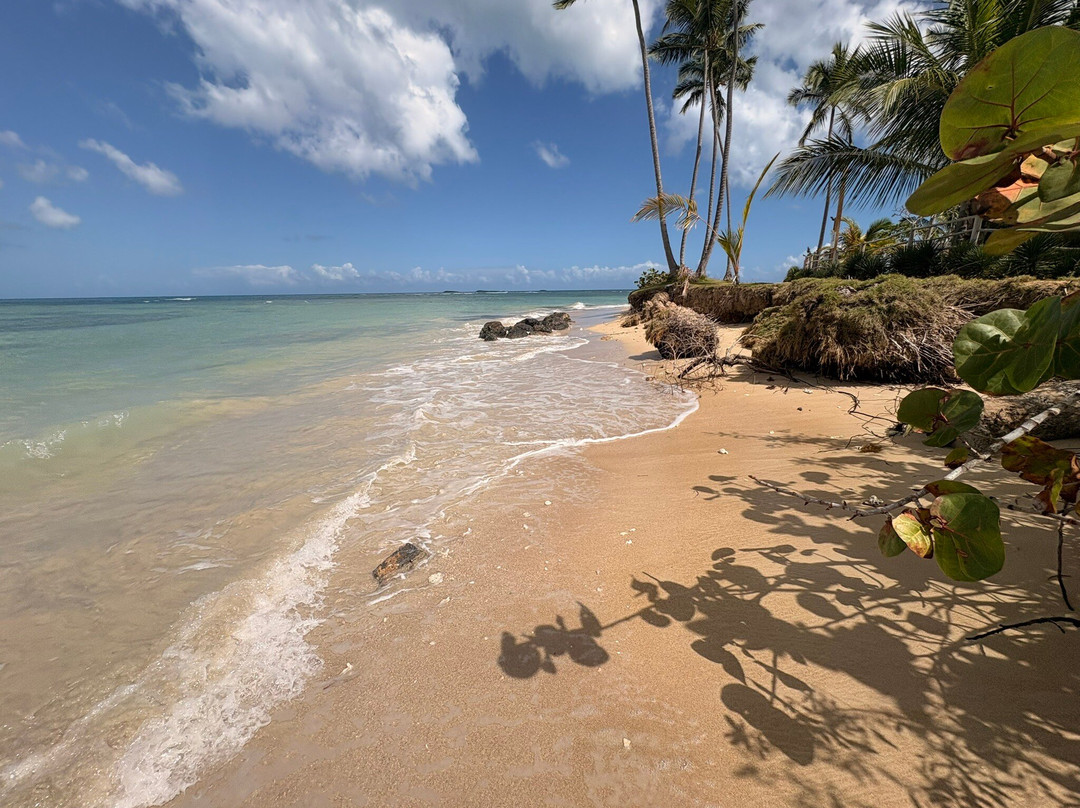 Viva Samana By Wyndham