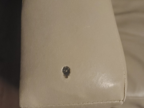 乔治敦丽怡酒店主图