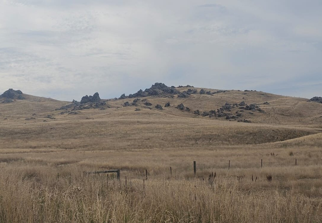 Big Sky Bike Adventures-Naseby必去景点