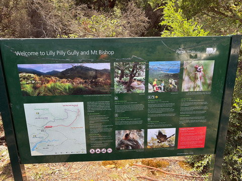 Lilly Pilly Gully-威尔逊岬国家公园必去景点