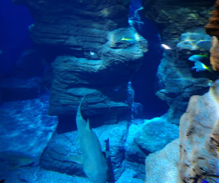 Planet Ocean Montpellier-蒙彼利埃必去景点