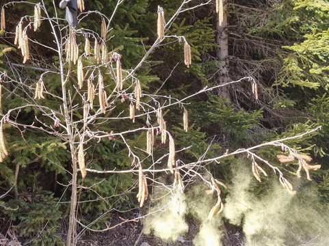 Gasthof - Pension Ödsteinblick主图