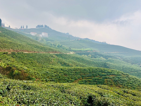 Himalaya Darshan Treks Pvt. Ltd-加德满都必去景点