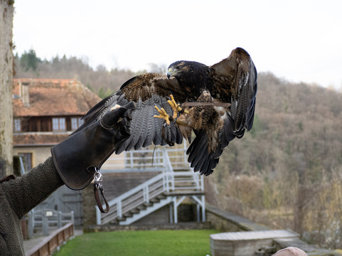 Deutsche Greifenwarte-Hassmersheim必去景点