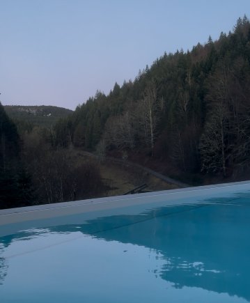 Auerhahn Forsthaus-泳池