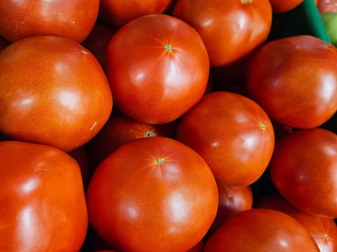 Gatewood Vegetable Farm & Greenhouses, Inc.-Noblesville必去景点