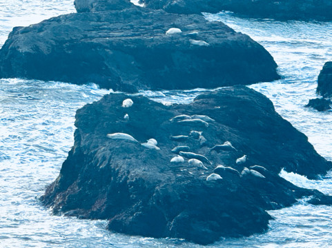 新港牧场旅馆主图