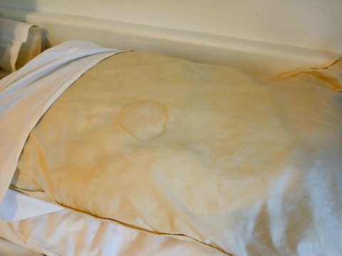 Sutherland Motel-客卧