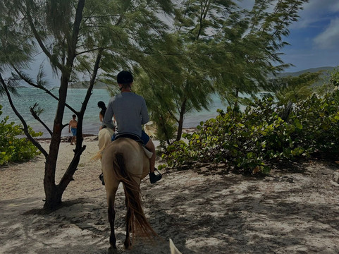 Le Ranch Du Galion-Quartier D'Orleans必去景点