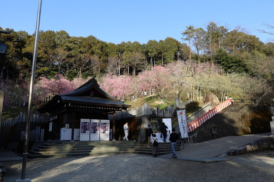 Oagata Shrine-犬山市必去景点