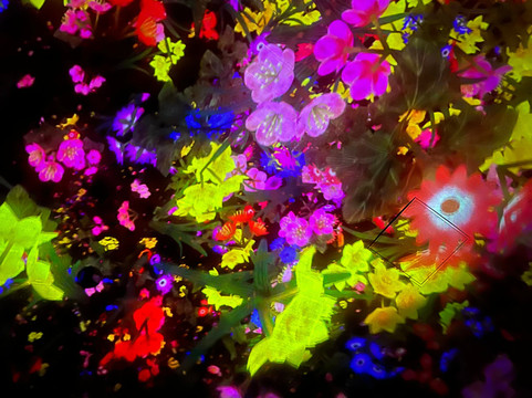 teamLab Planets TOKYO-Toyosu必去景点