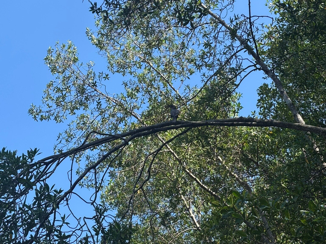 Epic Adventures Costa Rica-哥斯达黎加安东尼奥国家公园必去景点