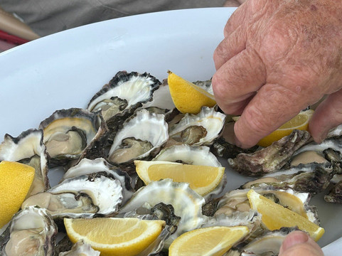 Captain Sponges Magical Oyster Tours-Pambula必去景点