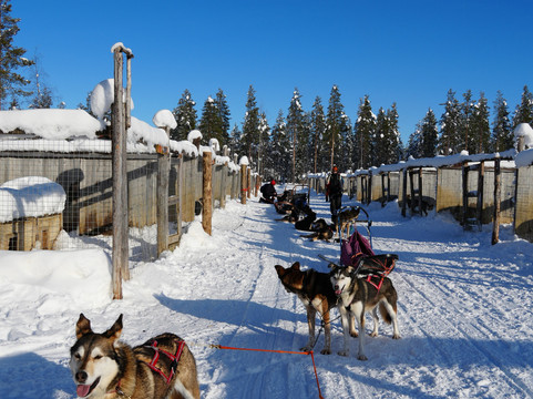 Polar Lights Tours-Sirkka必去景点