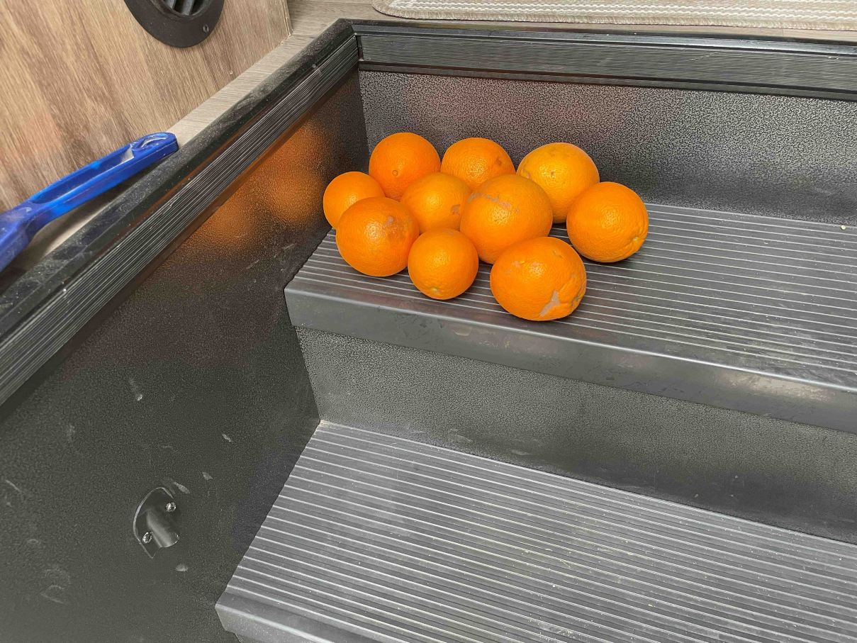 Orange Grove RV Park-官方