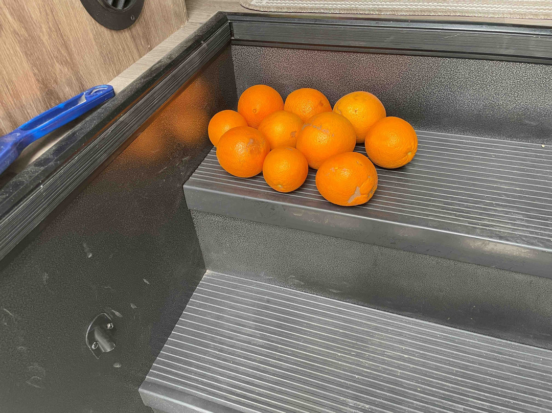 Orange Grove RV Park主图