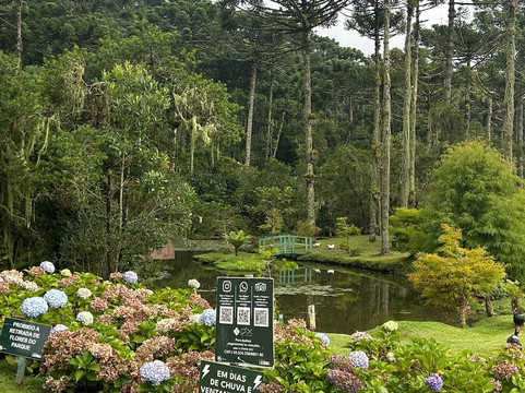 Parque da Lagoinha-坎普斯－杜若尔当必去景点