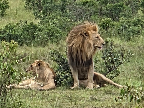 Morningstar Tours and Travel-Syokimau必去景点