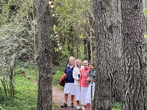 Blackburn Ridge-Waipawa必去景点