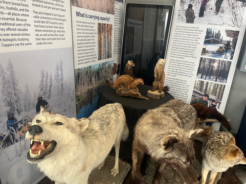 Grande Cache Tourism and Interpretive Centre-大卡什必去景点