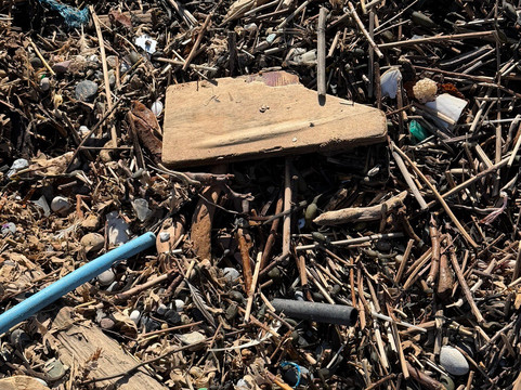 Mappleton Beach-Mappleton必去景点