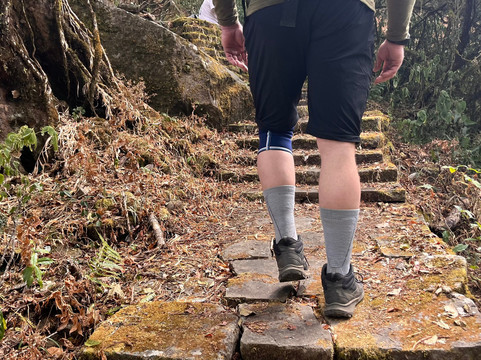 Pier Tours-Kohima必去景点