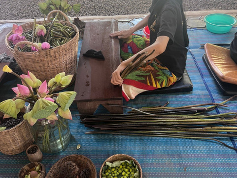 Lotus Farm Siem Reap-暹粒必去景点