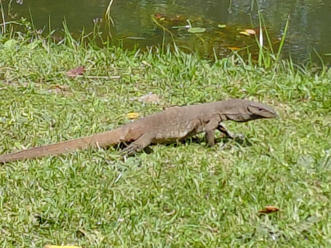 Kumar Tours-Aluthgama必去景点