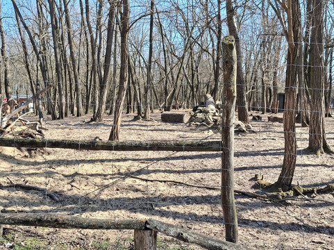 Magán Zoo-Felsolajos必去景点