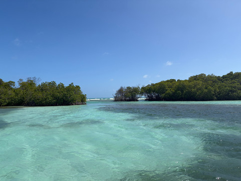 Parguera Water Sports-La Parguera必去景点