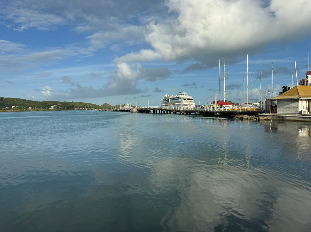 Pelican Safari Tours - Day Tours-安提瓜必去景点