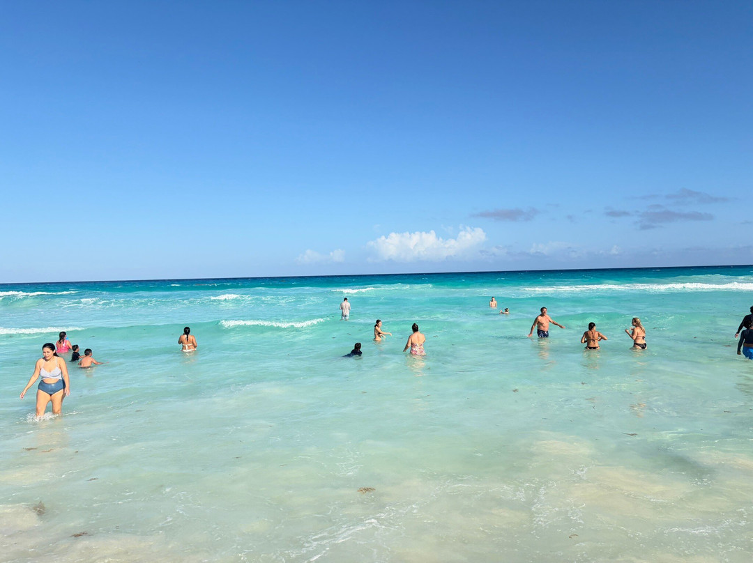 海豚海滩-坎昆必去景点