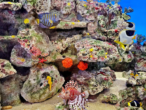 自然历史博物馆-赫尔辛基必去景点