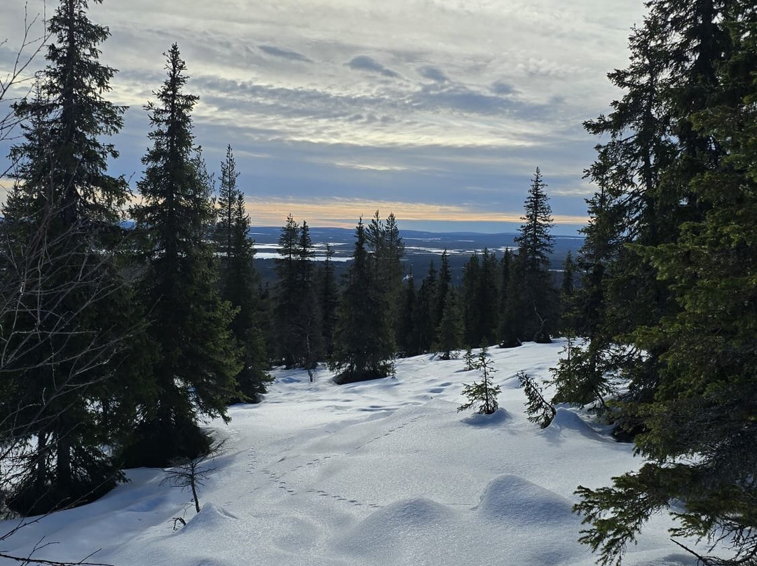 North Wind Lapland-Yllasjarvi必去景点