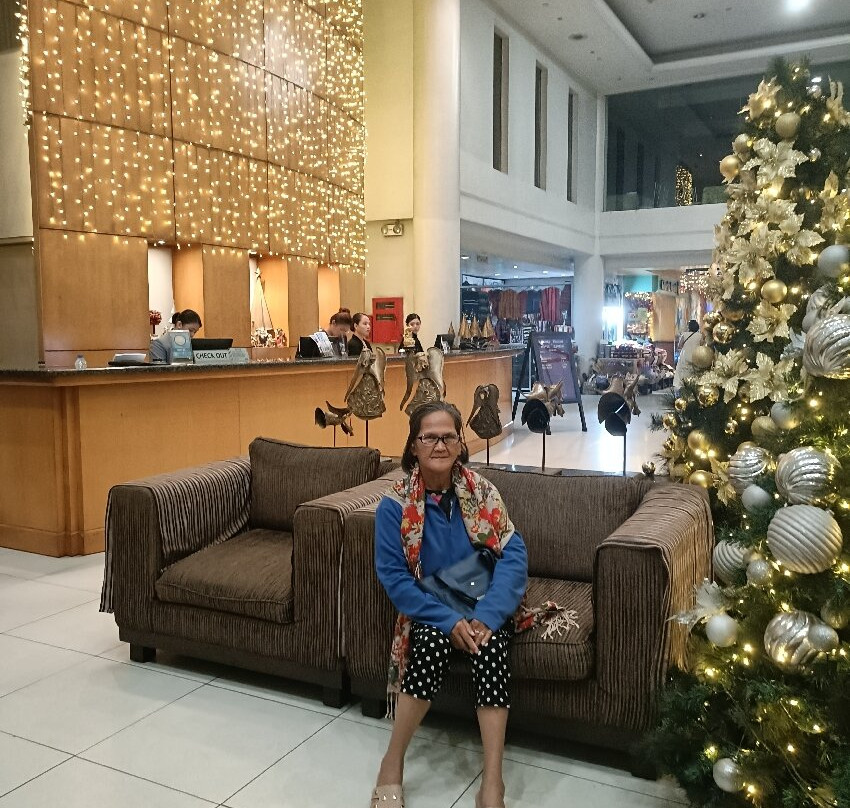 元首大酒店主图