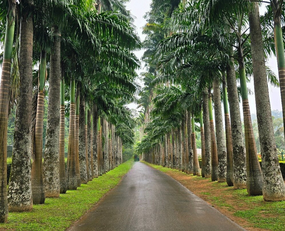 Nugadhenitours Sri Lanka Travels-Mirigama必去景点
