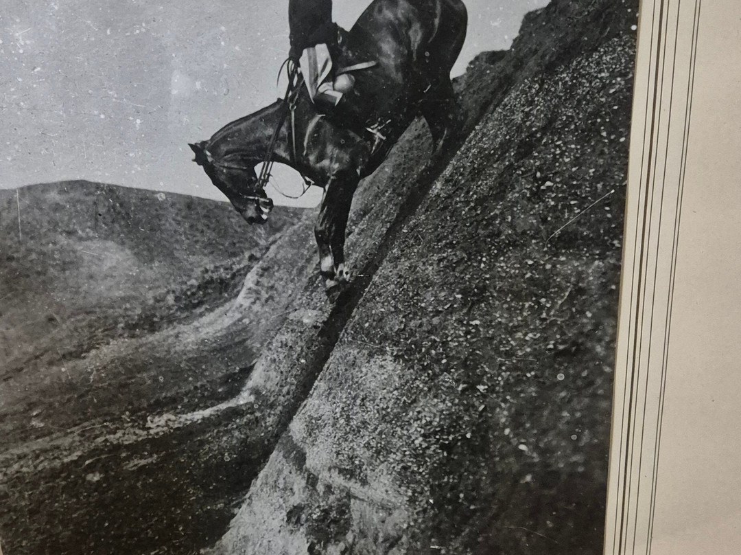 Museo Storico dell'Arma di Cavalleria-Pinerolo必去景点