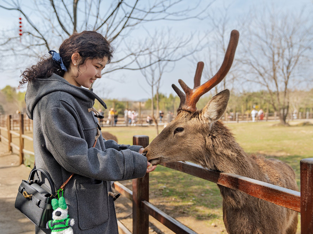 良渚国家遗址公园-杭州市必去景点