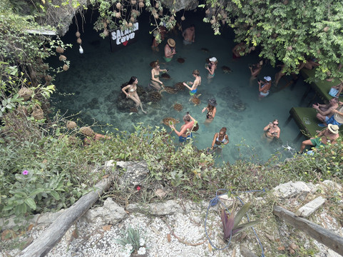 Salaam Cave Aquarium