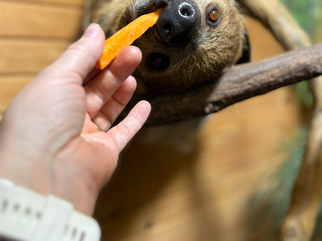 Tiger Safari Zoological Park-Tuttle必去景点