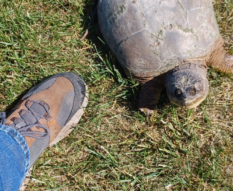 The Timbers Golf Club-Tuscola必去景点