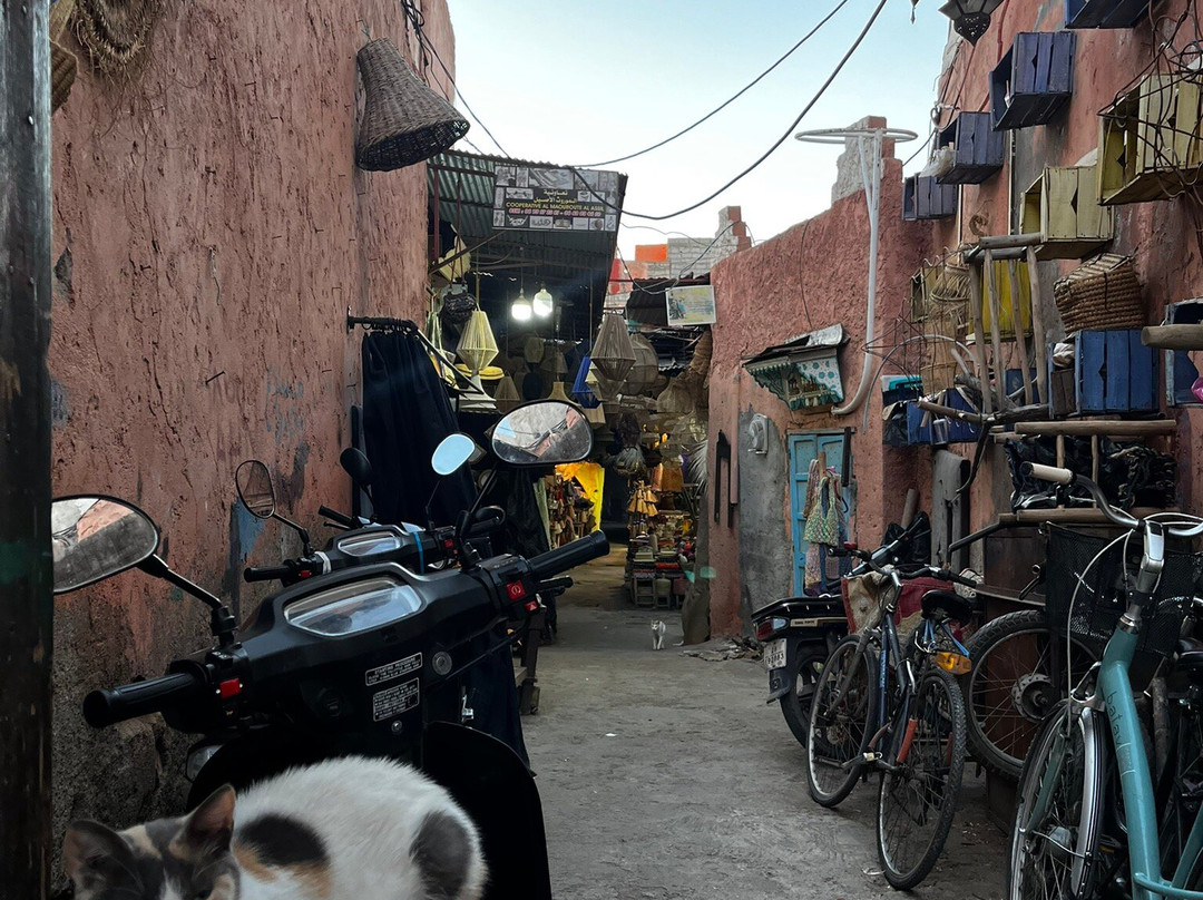 Holiday Morocco Tours-卡萨布兰卡必去景点