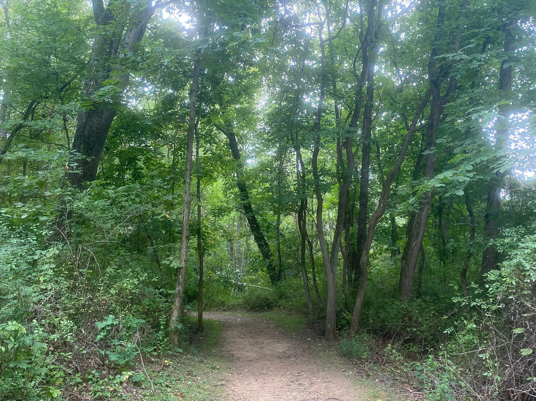 Cascade Valley Park-阿克伦必去景点
