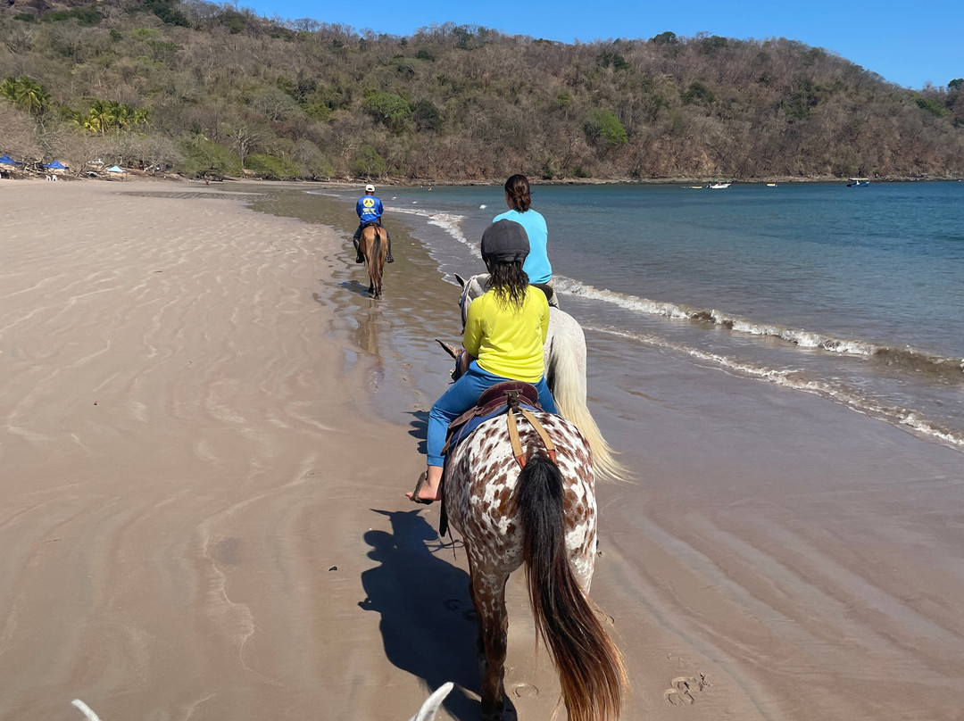 Conchal Adventures Costa Rica-孔查沙滩必去景点