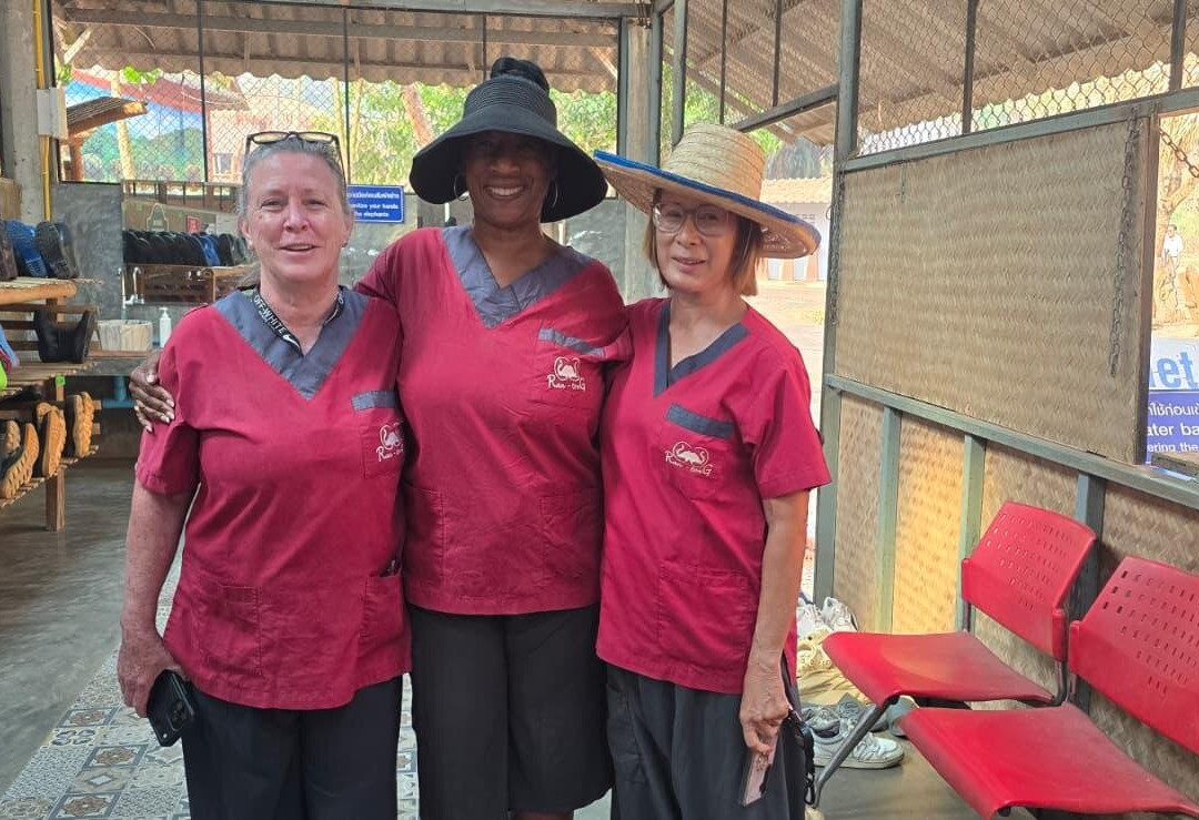 Elephant Sanctuary Care Park-清迈必去景点