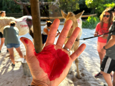 The Aerial, BVI主图