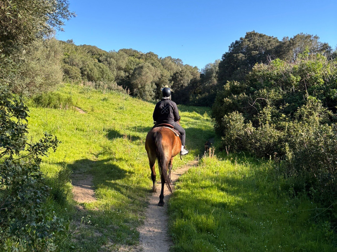 Centro Equestre La Prugnola-Arzachena必去景点